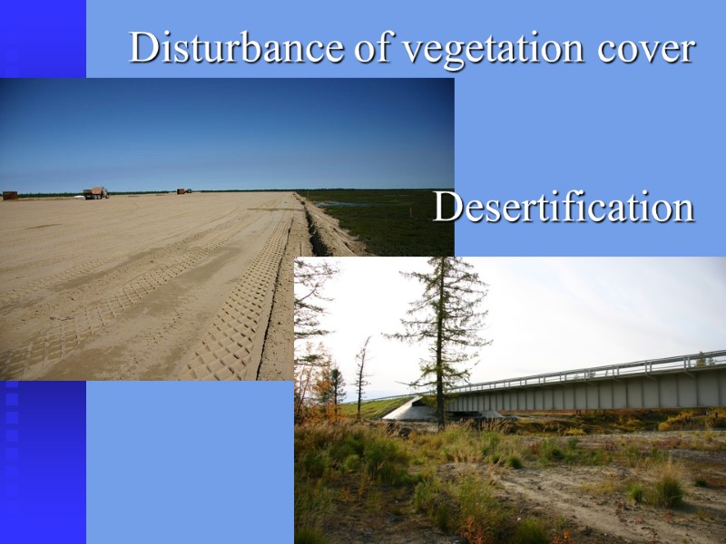 Disturbance of vegetation cover   Desertification